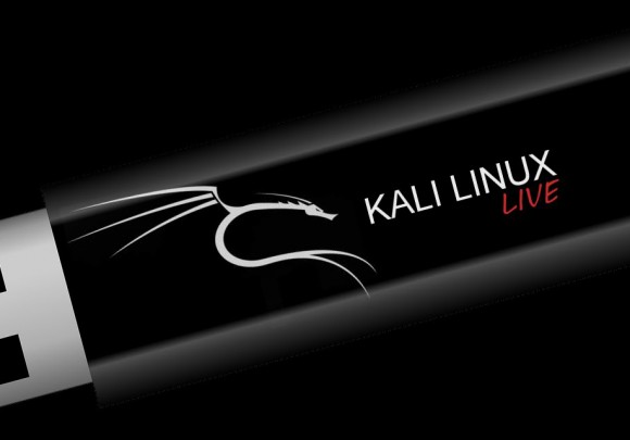 kali linux usb